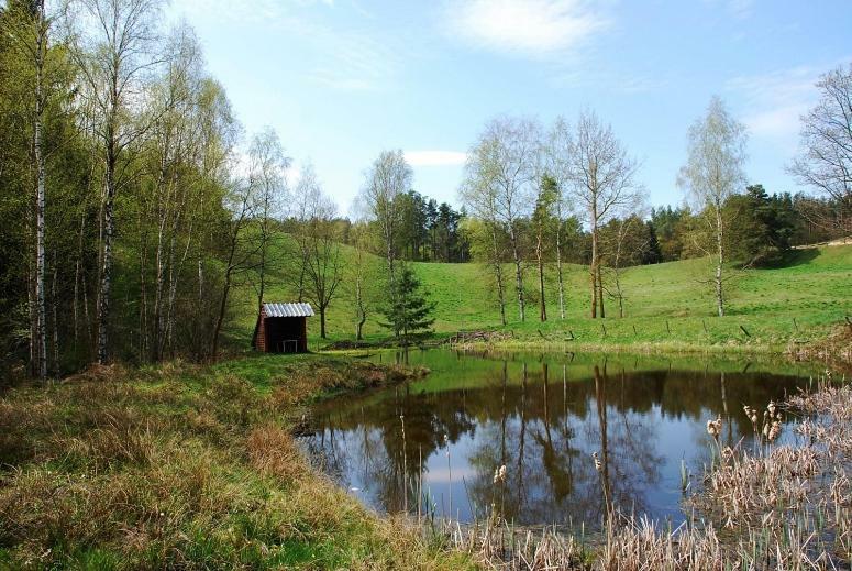 Pod Kogutkiem Villa Kruklanki Eksteriør billede